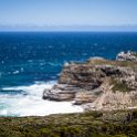 ZAF WC CapePoint 2016NOV14 NP 008 : 2016, 2016 - African Adventures, Africa, November, South Africa, Southern, Western Cape, Cape Point, Cape Peninsula, Cape Town, National Park